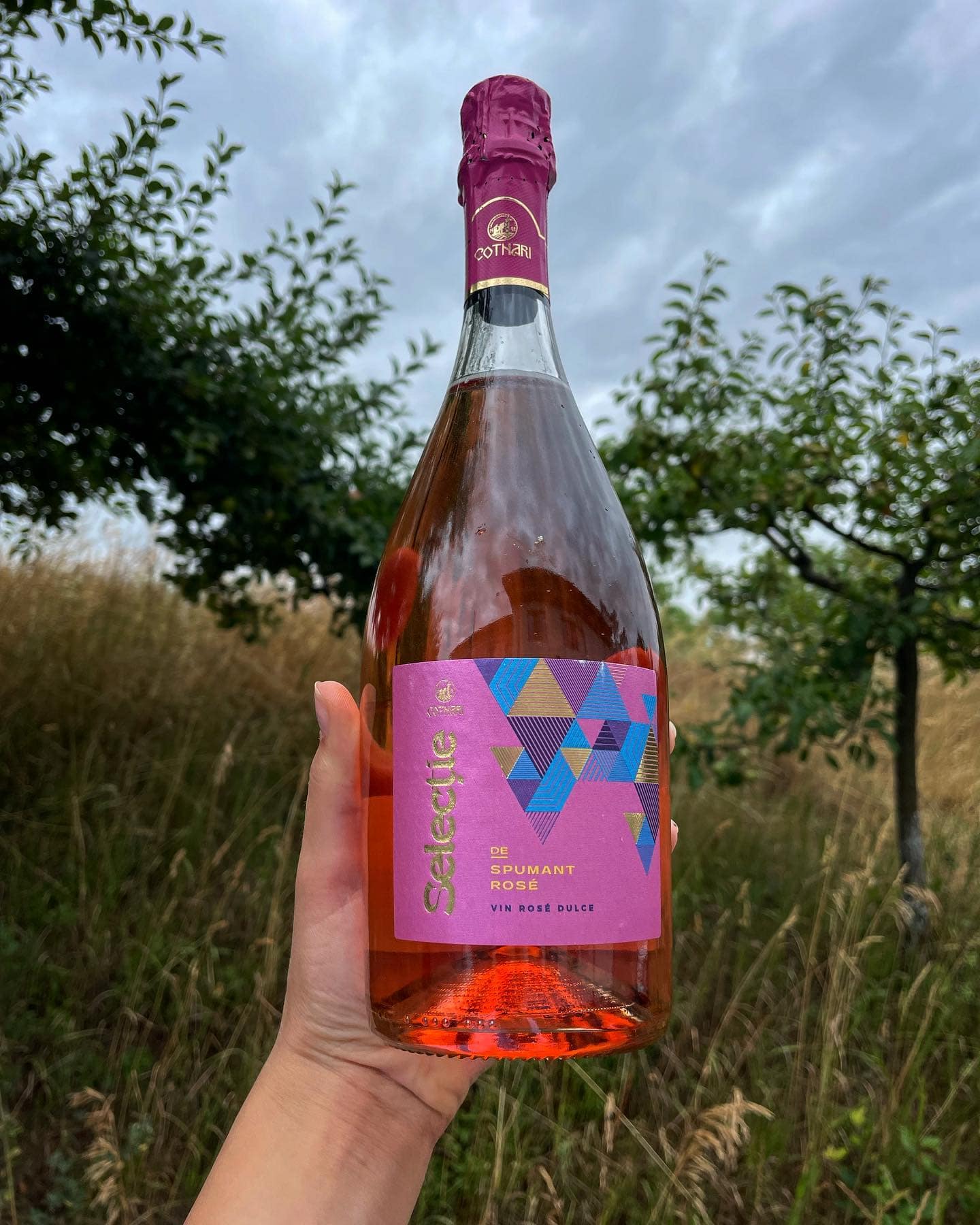 Sparkling wine label design for Cotnari Selecție sparkling rose, made in Bucharest, Romania by TARNOVSKI Branding Studio