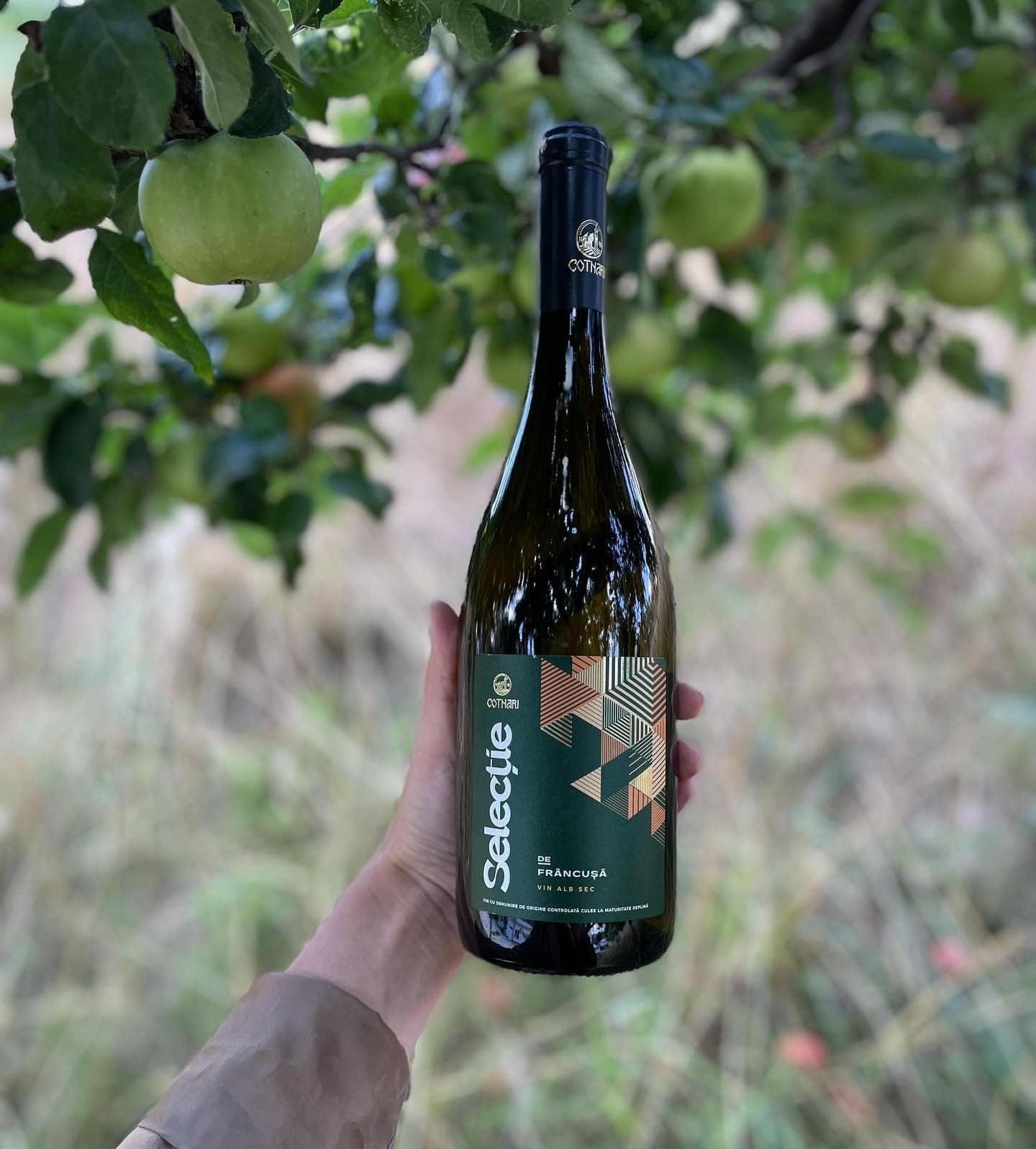 Wine label design for Cotnari Selecție de Frâncușă by TARNOVSKI Branding Studio, from Bucharest, Romania